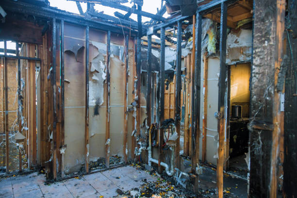 Professional Fire Damage Repair technician working in Anthony, KS